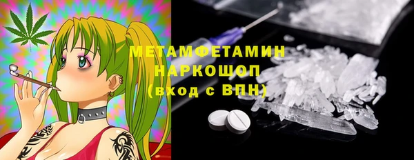 индика Богданович