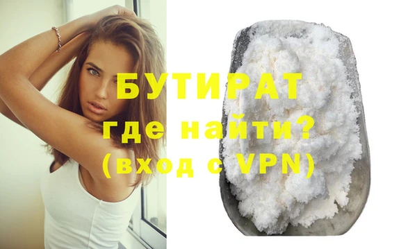 индика Богданович