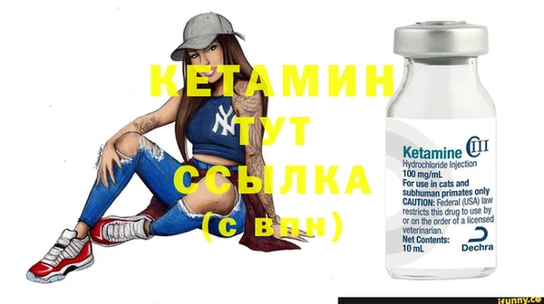 индика Богданович