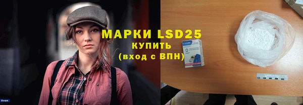 индика Богданович