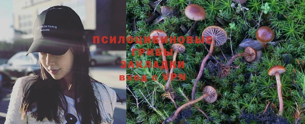индика Богданович