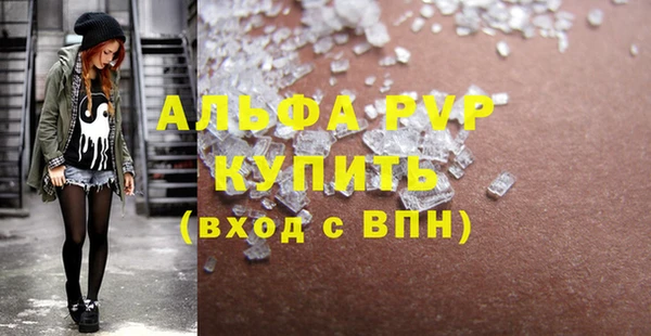 индика Богданович
