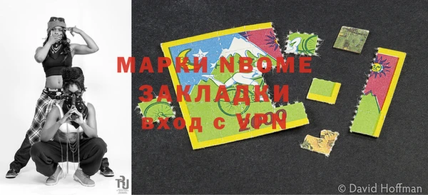 индика Богданович
