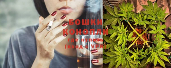 индика Богданович