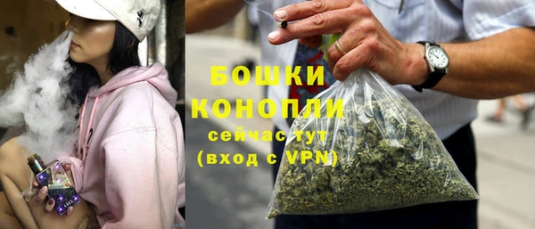 индика Богданович
