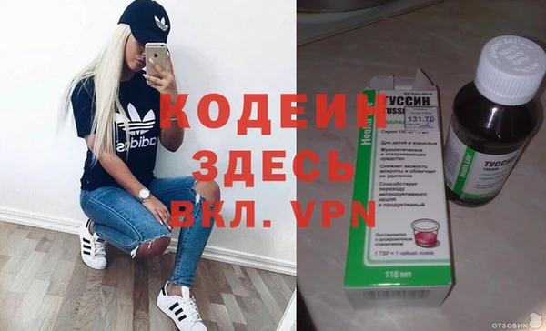 индика Богданович