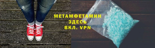 индика Богданович